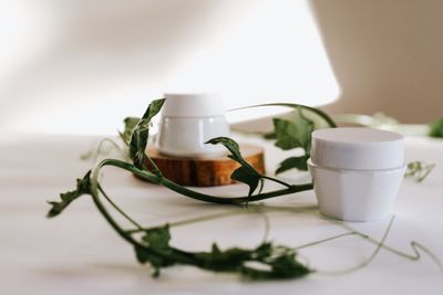Produtos complementares para cabelo